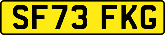 SF73FKG