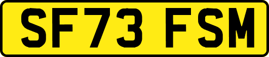 SF73FSM