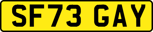SF73GAY