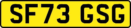 SF73GSG
