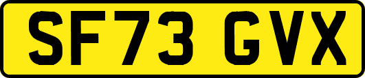 SF73GVX