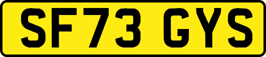SF73GYS