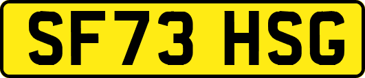 SF73HSG
