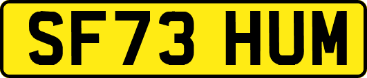 SF73HUM