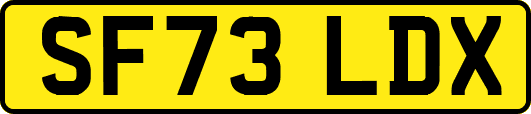 SF73LDX