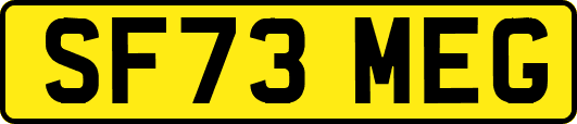 SF73MEG