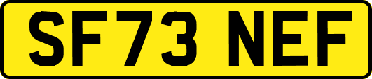 SF73NEF