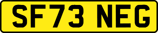 SF73NEG