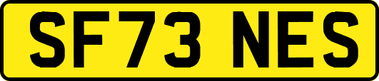 SF73NES