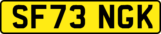 SF73NGK