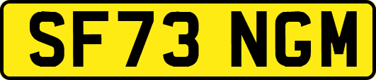 SF73NGM
