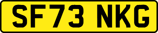 SF73NKG