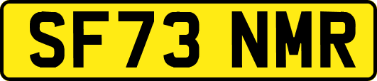 SF73NMR