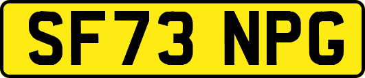 SF73NPG