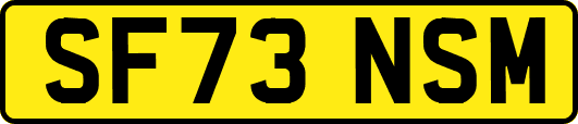 SF73NSM