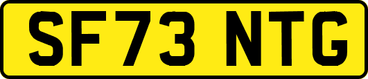 SF73NTG