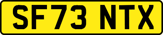 SF73NTX