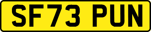 SF73PUN