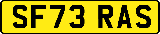 SF73RAS