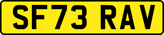 SF73RAV