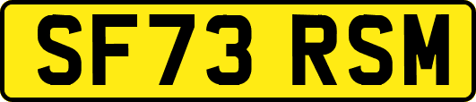 SF73RSM