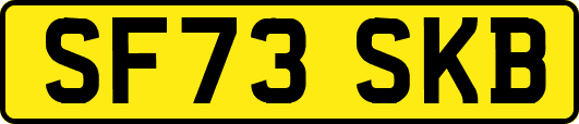 SF73SKB