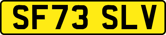 SF73SLV