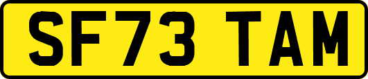 SF73TAM