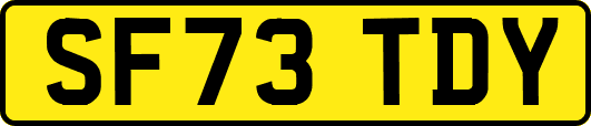 SF73TDY