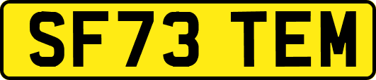 SF73TEM