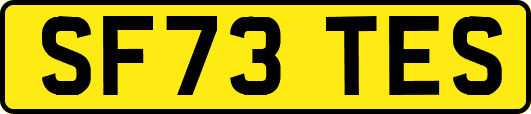 SF73TES