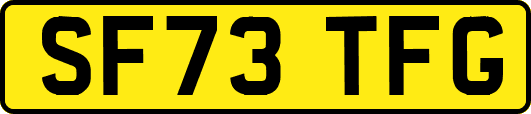 SF73TFG