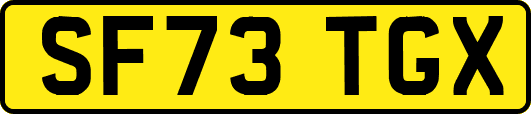 SF73TGX