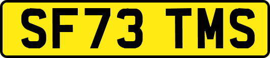 SF73TMS