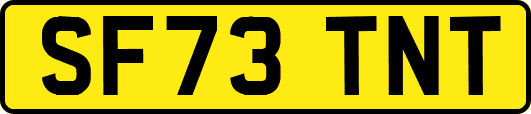 SF73TNT