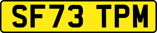 SF73TPM