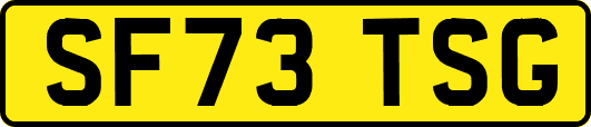 SF73TSG