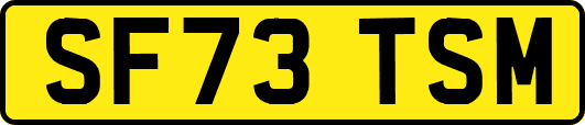 SF73TSM