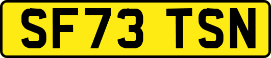 SF73TSN