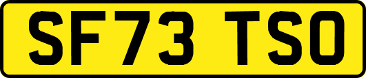 SF73TSO