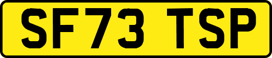 SF73TSP