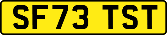 SF73TST
