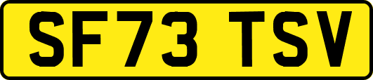 SF73TSV