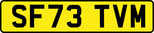 SF73TVM