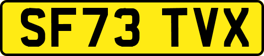 SF73TVX