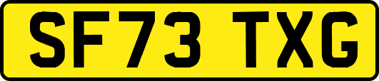 SF73TXG
