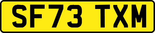 SF73TXM