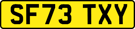 SF73TXY