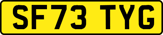 SF73TYG