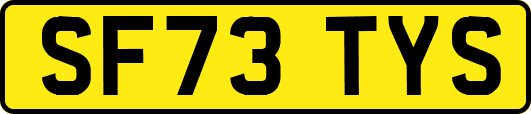SF73TYS
